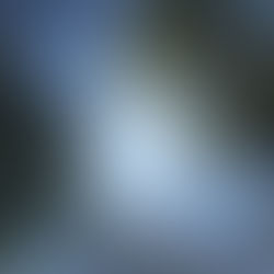 Un uomo fuori dal Sistema: lavora 2 giorni a settimana. 2a parte