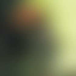 Voler salvare il mondo, senza saper salvare se stessi