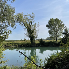 Alla ricerca di se stessi