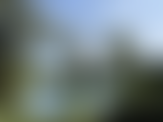 Alla ricerca di se stessi