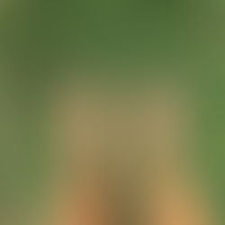 Hai perso te stesso?