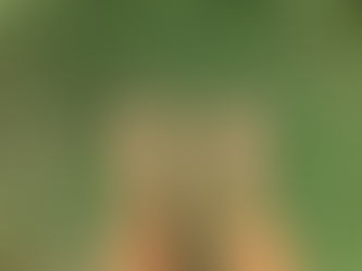 Hai perso te stesso?