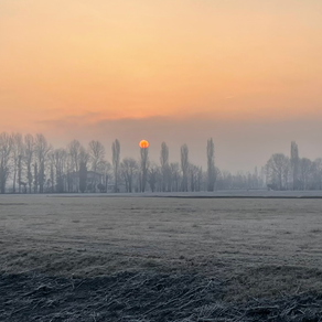 Vitamina D3 e COVID di Gabriele Prinzi