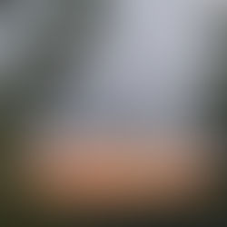 I desideri. Dal “devo” al “voglio”