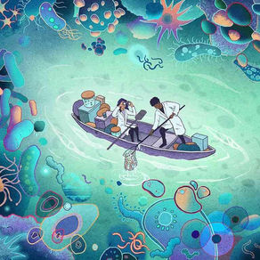 Tutto é collegato dai batteri alle stelle