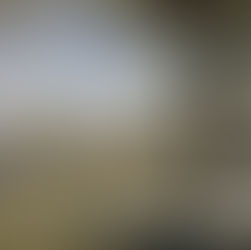 Presenting the beauty of winter landscapes in art