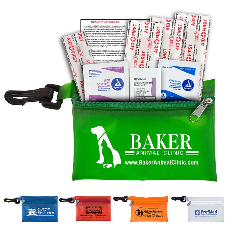 "PARKWAY PLUS" 8 Piece First Aid Kit in Translucent Zipper Kit with Plastic