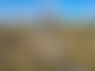 First Semester of Bush Life