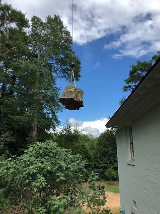 TREE REMOVAL - TREE DIMENSIONS - SPARTANBURG, SC