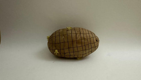 WhatsApp Image 2023-12-09 at 21.15.57.jpeg