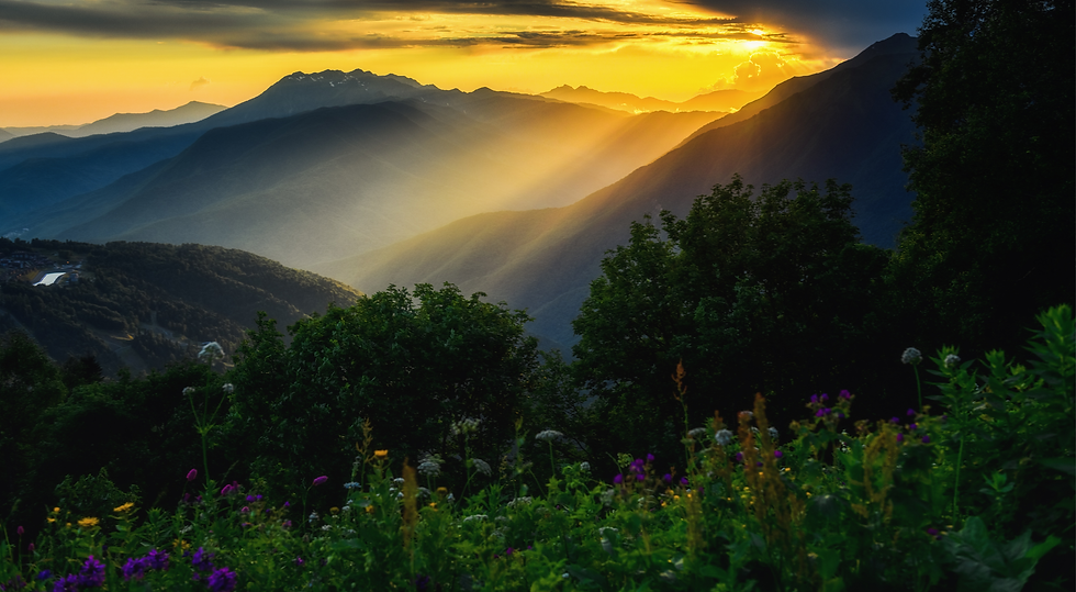 Untitled design - 2025-06-23T175057.160.png