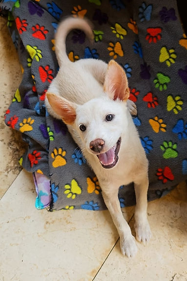 WhatsApp Image 2025-12-01 at 2.55.57 PM.jpeg