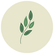 Leaf Drawning (21)