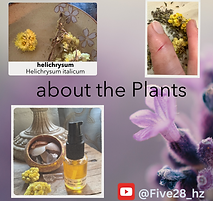 about the Plants, youtube video link