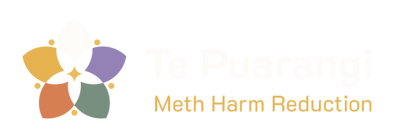 Te Puarangi - Logo - ƒ_S - Reverse.png