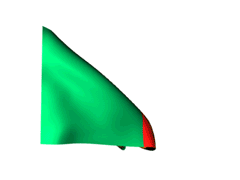 Drapeau-Zambie_240-gif.gif