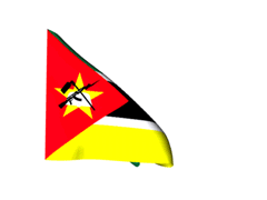 Drapeau-Mozambique_240-gif.gif