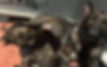 Von Suhlinger German Shepherds