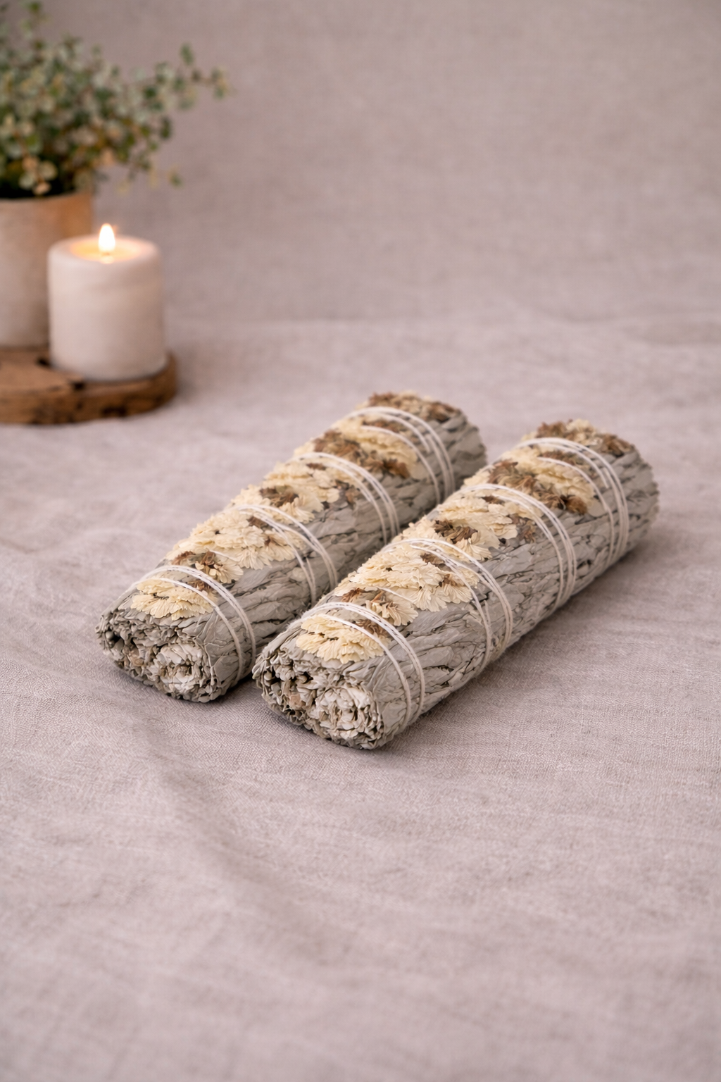 Weisser Salbei x weisse Sinuata