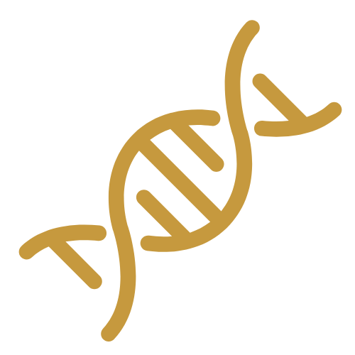 a (1).png