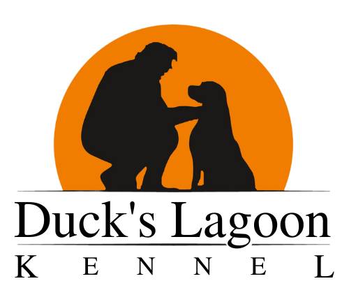 Logo Duck's Lagoon KENNEL 