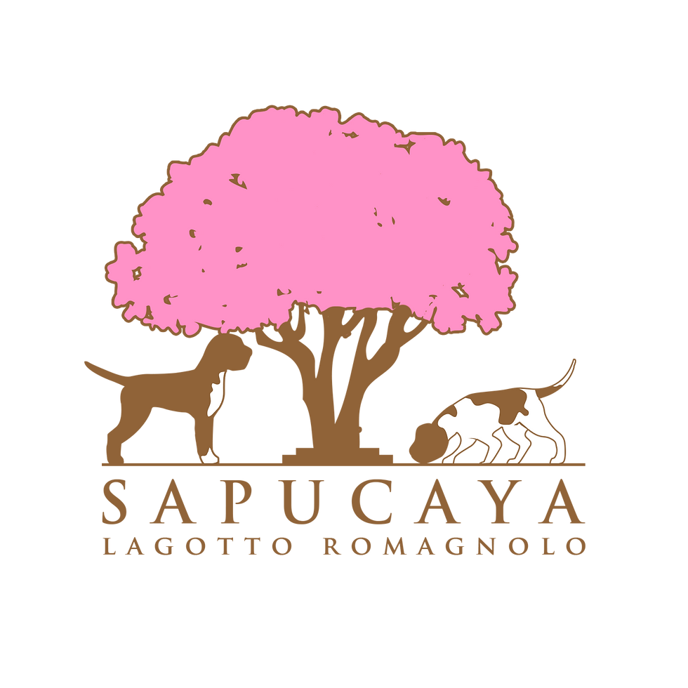 Cópia de sapucaya-logo-02.png