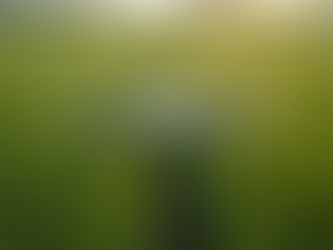 Precision Agriculture Technology for Smarter Farming