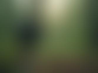 Revolutionising Research with IoT Technology in Research