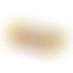 Satya Seven Chakra Incense Sticks