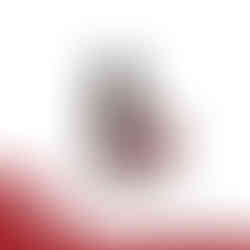 SOiL Clove Bud Oil - 10ml