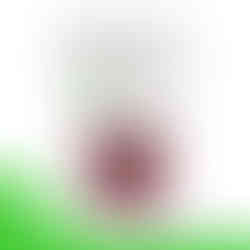 Umoyo Natural Health Dried Cranberries