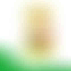 Sela Cold & Flu Tea - 20 Teabags