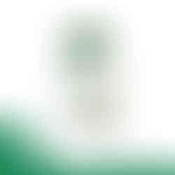 NutriHerb Echinacea – 60 Capsules