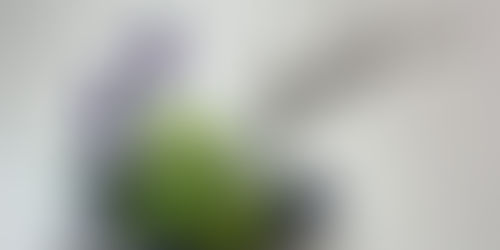 Vida minimalista: 5 formas de probar vivir con menos