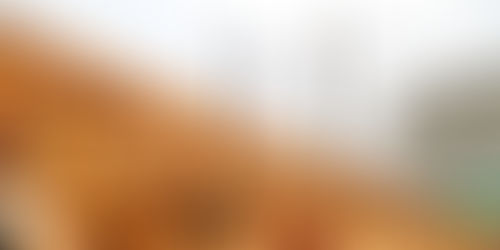 Desplazar el carbón por la madera para la generación de energÃa empeorará el cambio climático