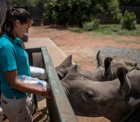 Aprender a convivir con los vivos