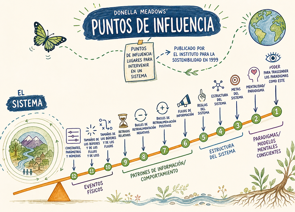 Donella Meadows - Lugares para intervenir en un sistema