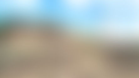 Enfermedades mortales prosperan cuando la naturaleza es destruida