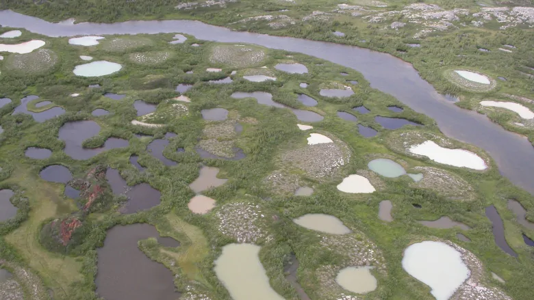 Lagunas de deshielo de Permafrost en la Bahía de Hudson, Canadá