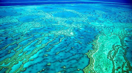 El calor extremo en los océanos "superó el punto de no retorno" en 2014