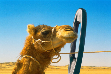 A través del ojo de una aguja: Una perspectiva eco-heterodoxa de la transición a energías renovables