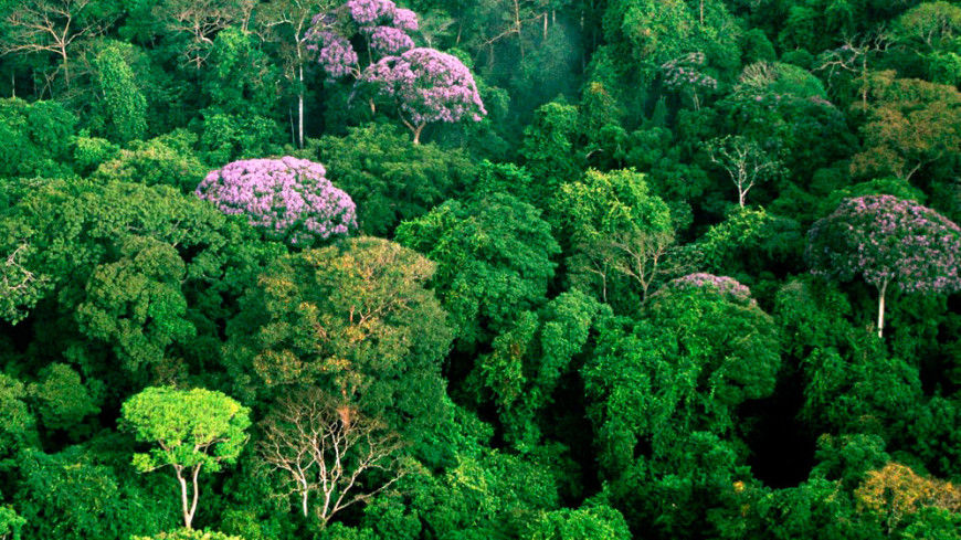 La importancia de la conservación de la biodiversidad