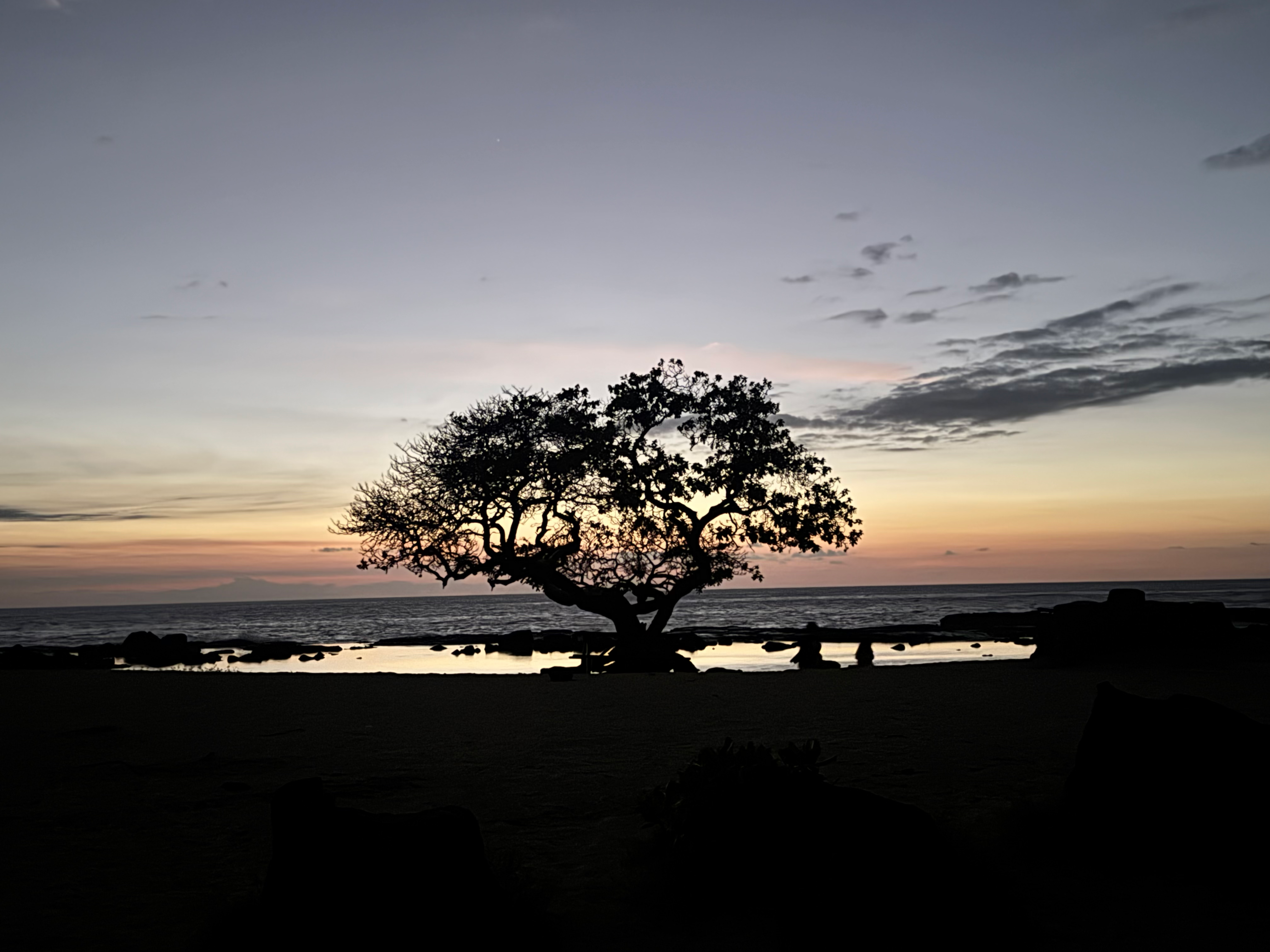 The Ultimate Guide to Manifesting Your Best Life