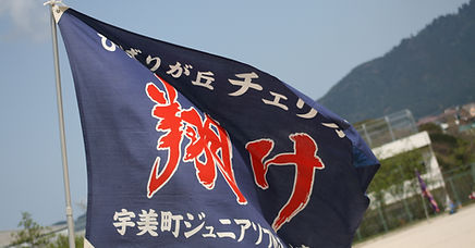 宇美町 福岡 粕屋郡 ソフトボール