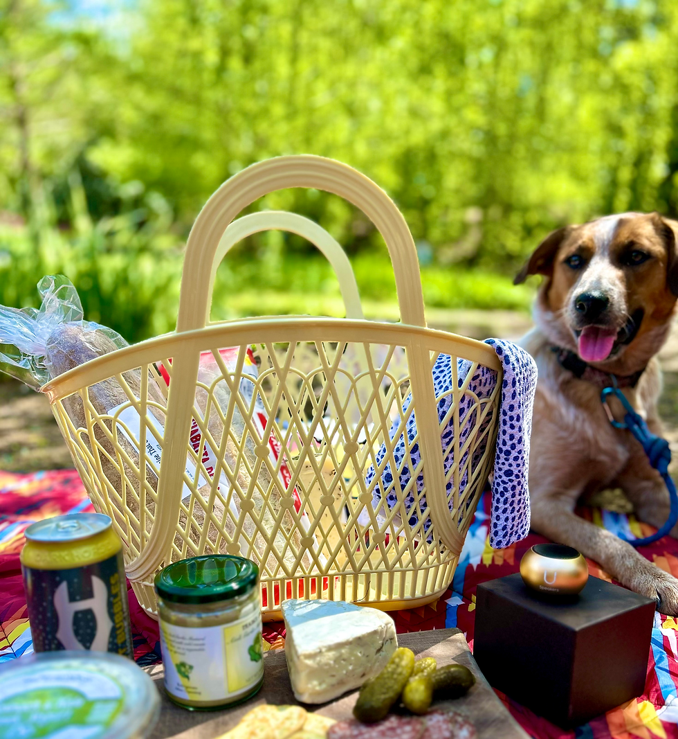 SunJellies Betty Basket