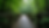 Wide angle view of an old wooden bridge leading into a lush forest