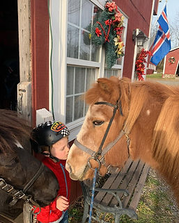 horse kisses.jpg
