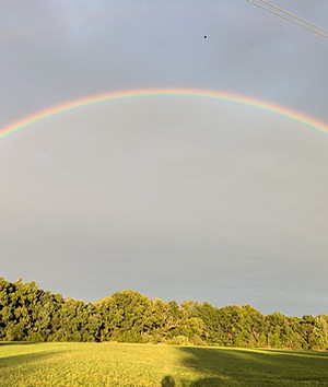 rainbow.jpg