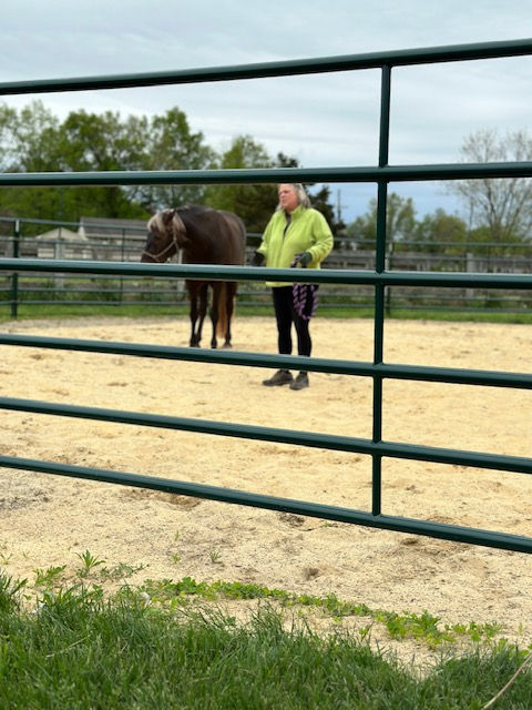natural horsemanship demo