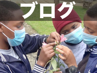 歴史の劇に植物調査!?先生が屋外で行う授業を学ぶ!